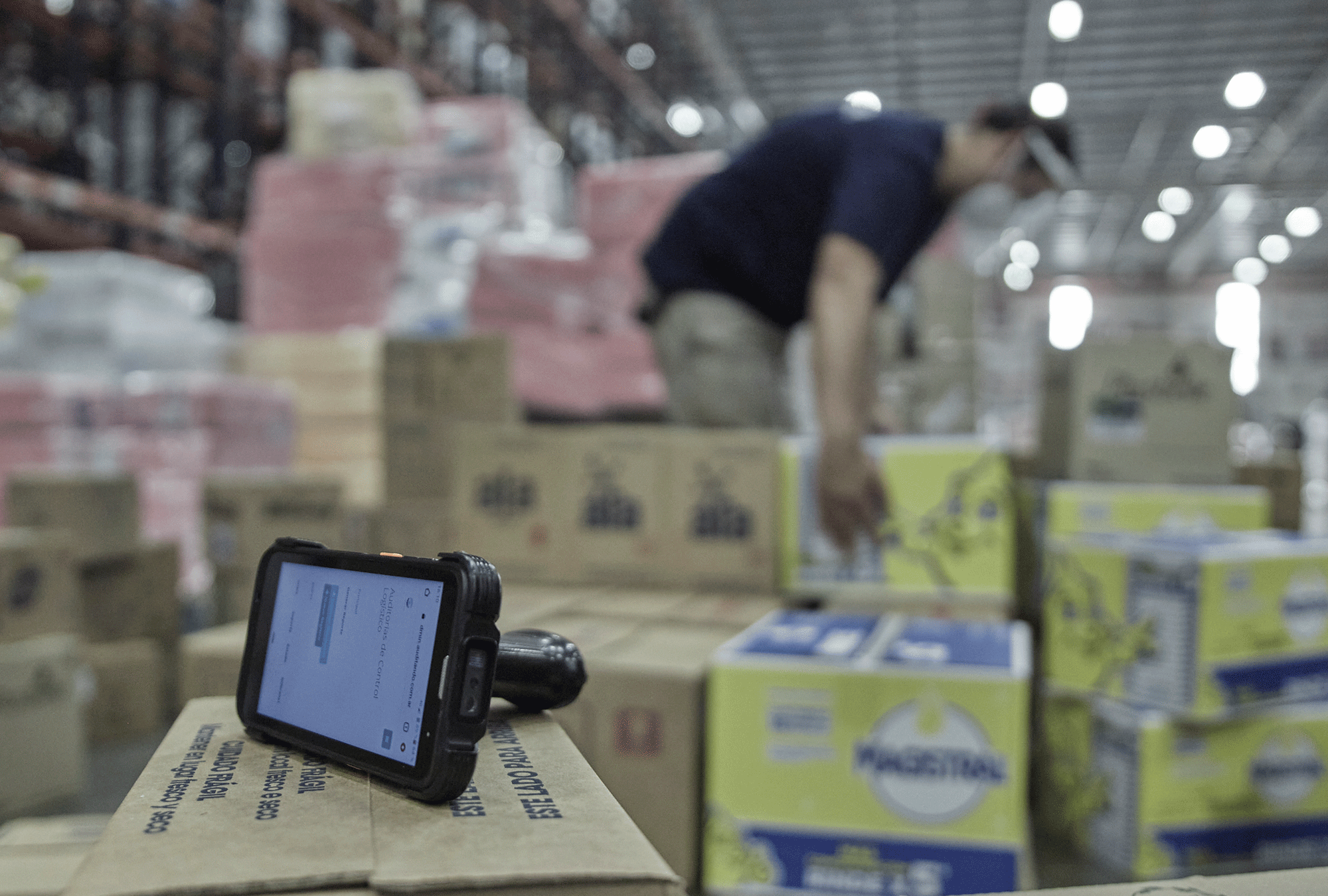 sistema de auditoria interna para grandes empresas